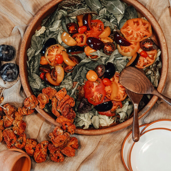 pexels-furkanfdemir-7239452 pexels-furkanfdemir-7239452